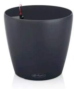 Lechuza Classico Color - Modelo 60