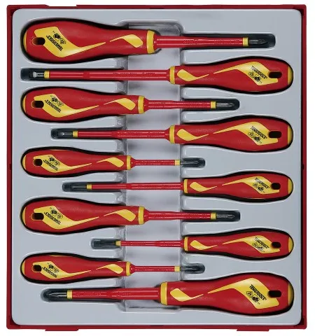 Juego de destornilladores Teng Tools 1000V TTDV910N con 10 piezas